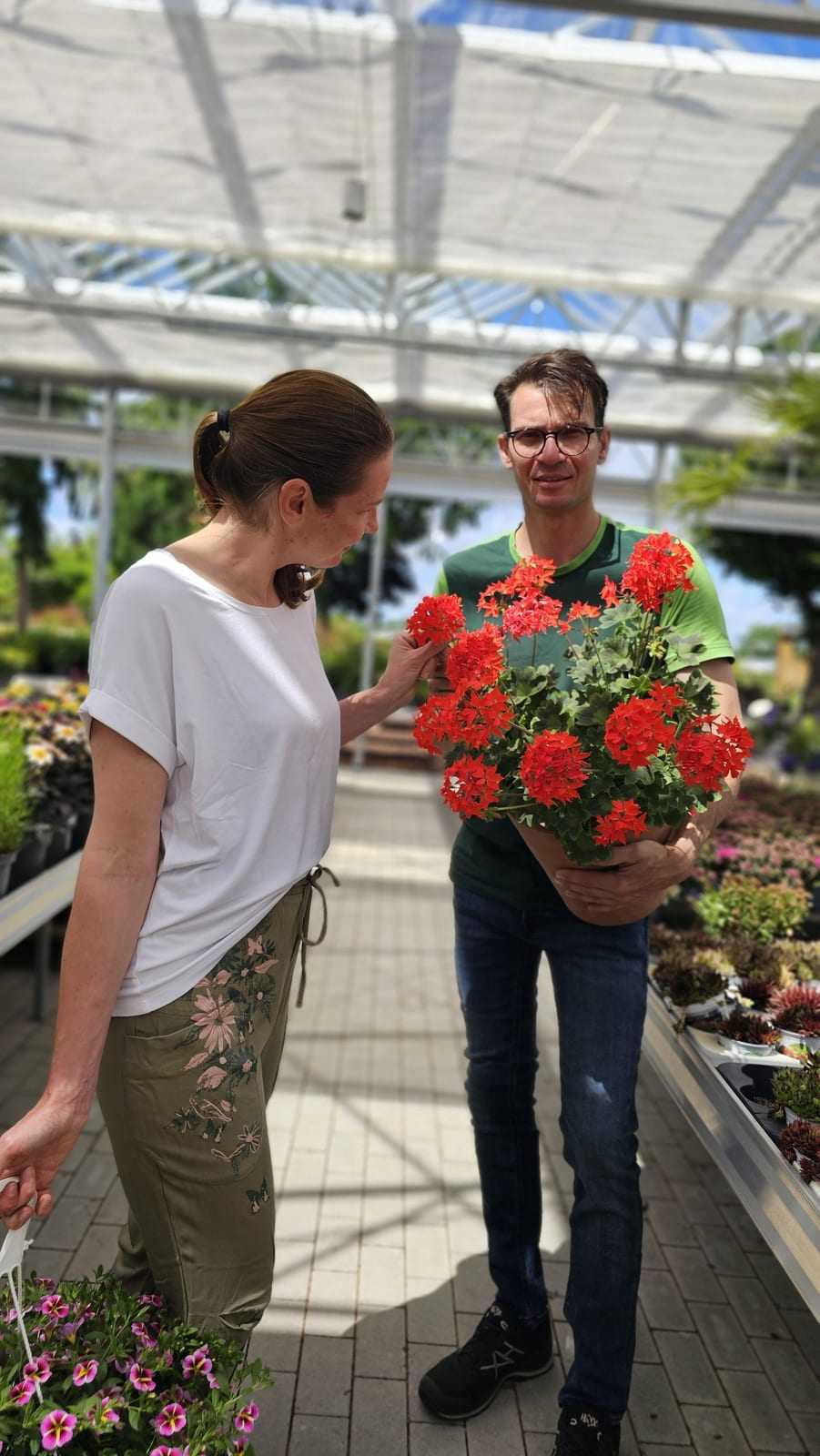 Mitarbeiter reicht einer Kundin eine rote Blütenampel